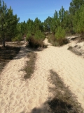 Euronat Strandwanderweg Gironde