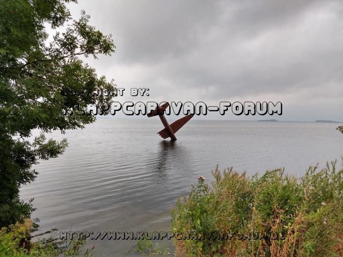 IMG_20190802_110809566