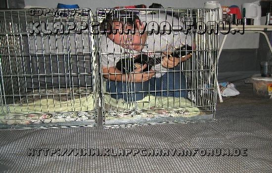 Guido spielt unter erschwerten Bedingungen