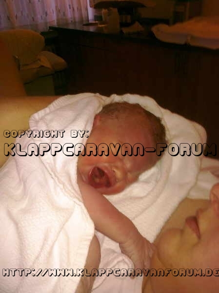 Ole, Stolz von Stefantom