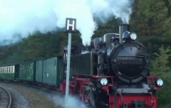 Rätselbild Rollo