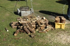 Holz 2