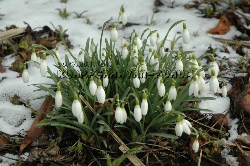 Kalenderbild 2014 (49)